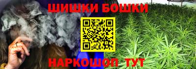 крисы Кунгур