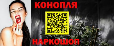 крисы Кунгур