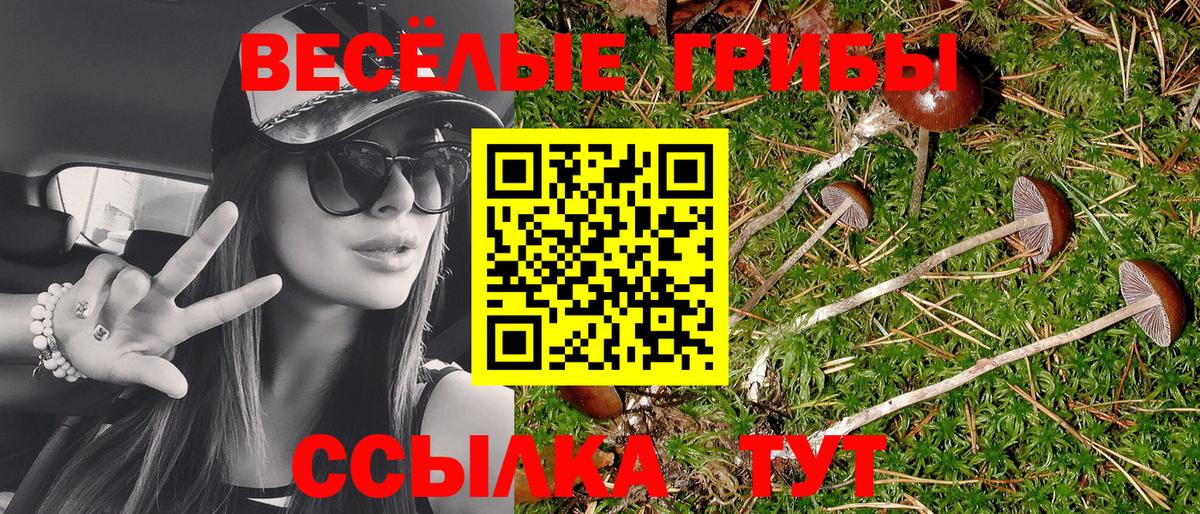 Псилоцибиновые грибы Magic Shrooms  Вход с VPN  Каменка  Галлюциногенные грибы MAGIC MUSHROOMS 
